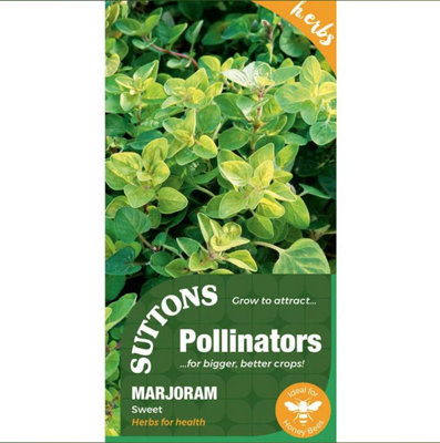 Suttons Seeds Herb Marjoram Sweet 1 Packet Grow Your Own from B&Q