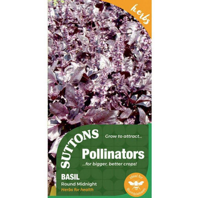 Suttons Seeds Herb Basil Round Midnight 1 Packet from B&Q