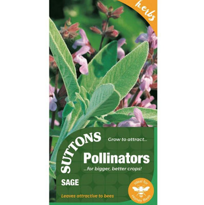 Suttons Seeds Herb Sage 1 Packet Grow Your Own from B&Q