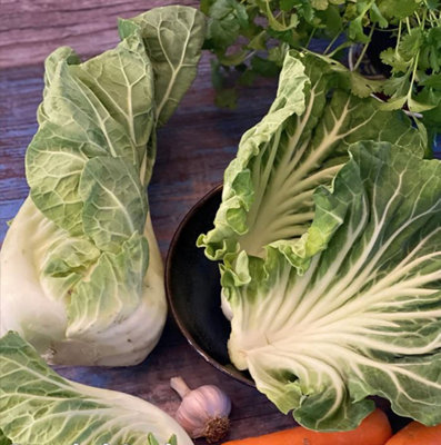 Suttons Seeds Cabbage Luzia F1 1 Packet Grow Your Own Veg Vegetables from B&Q