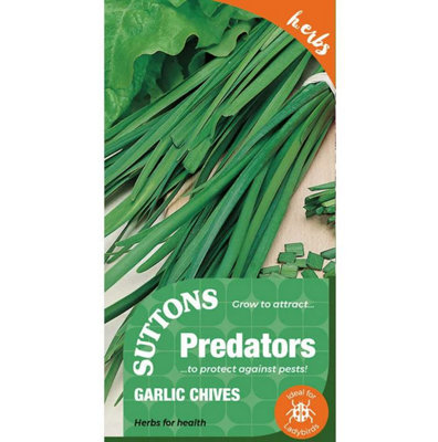 Suttons Seeds Suttons Seed Herb SeedGarlic Chives 1 Packet from B&Q