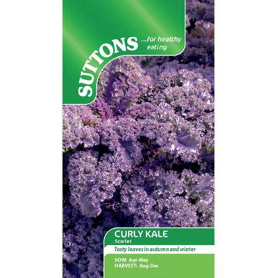 Suttons Seeds Kale Scarlet 1 X Seed Packet from B&Q