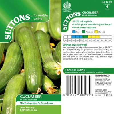 Suttons Seeds Cucumber Mini F1 1 Packet from B&Q