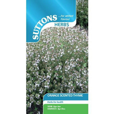B&Q -  Herb Thyme Orange Scented 1 Packet
