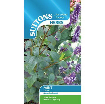 Suttons Seeds Herb Korean Mint 1 Packet from B&Q