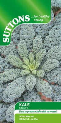 Suttons Seeds Kale Eden F1 Seed Packet Grow Your Own Veg from B&Q