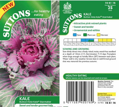 Suttons Seeds Kale Buttonhole Kale Starmaker 1 Packet from B&Q