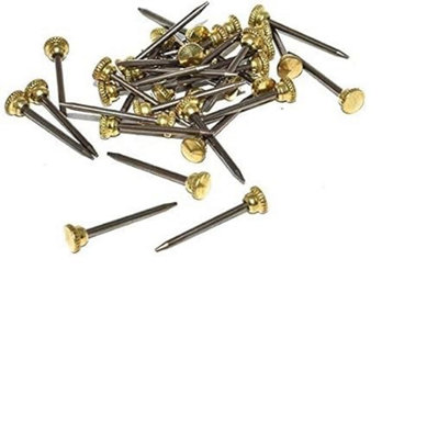 Picture Pin 25mm Brass Head Pack Of 100 from B&Q