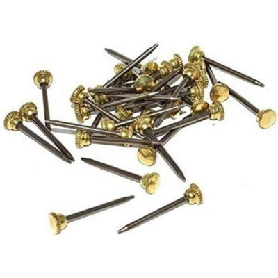 Picture Photo Hanging Hook Pins Knurled Brass Head (Pack Of 25) from B&Q