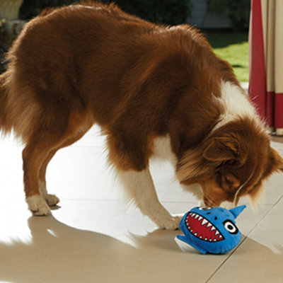 JmlChuckle Chums Shark Interactive Vibrating Pet Toy That Activates With Touch Or Motion from B&Q