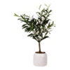 Found it product image.