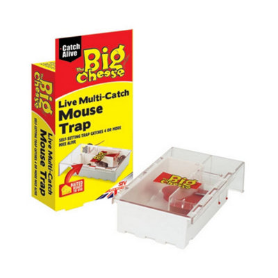 Stv International The Big Cheese Live Multi-Catch Mouse Trap May Vary (Small) from B&Q