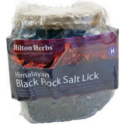 Hilton Herbs Himalayan Black Rock Salt Lick May Vary (1Kg) from B&Q