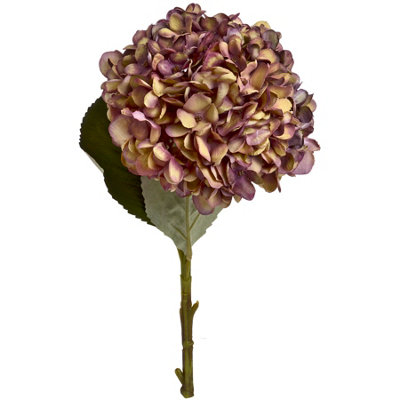 Hill Interiors Artificial Autumn Hydrangea in Light Brown - Image 7