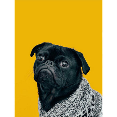 B&Q -  Unframed Wall Art Deluvio Pug Dog Puppy Sweater12X16 Inch