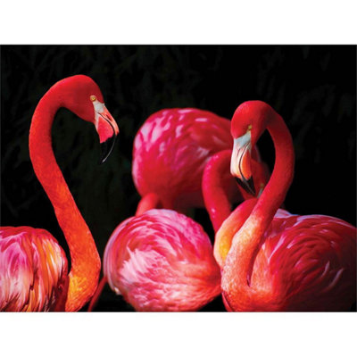 Artery8 Unframed Wall Art Pink Flamingo Bird Group12X16 Inch from B&Q