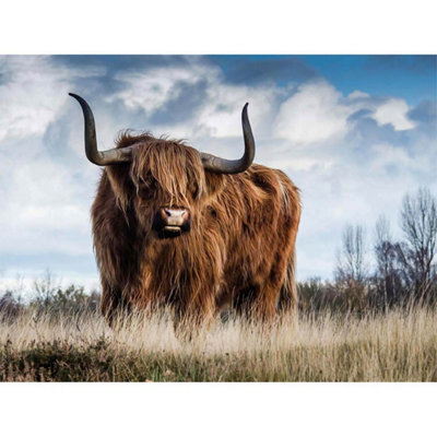 B&Q -  Unframed Wall Art Scottish Highland Cow Coo12X16 Inch