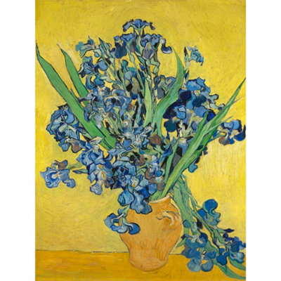 Artery8 Unframed Wall Art Van Gogh Irises Painting12X16 Inch from B&Q