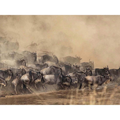Artery8 Unframed Wall Art Wildebeest Antelope Herd Dust12X16 Inch from B&Q