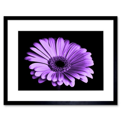 Artery8 Wall Art Print Close-Up Purple Flower Framed 9X7 Inch from B&Q