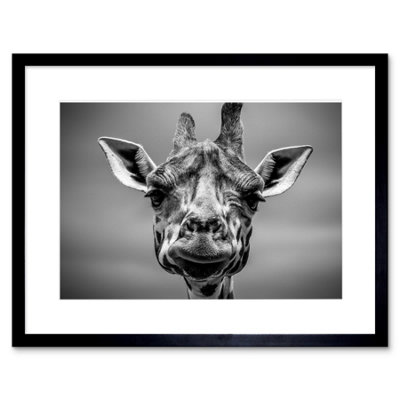 Artery8 Wall Art Print Furlan Giraffe Head Face Framed 9X7 Inch from B&Q