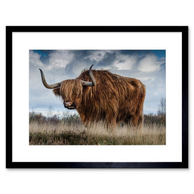 Artery8 Wall Art Print Scottish Highland Cow Coo Framed 9X7 Inch from B&Q