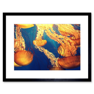 Artery8 Wall Art Print Jellyfish Group Underwater Ocean Framed 9X7 Inch from B&Q
