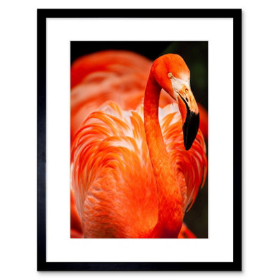 Artery8 Wall Art Print Flamingo Bird Close Up Framed 9X7 Inch from B&Q
