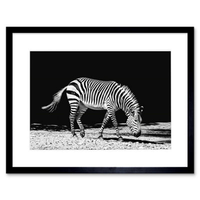 Artery8 Wall Art Print Lone Zebra Bw Framed 9X7 Inch from B&Q
