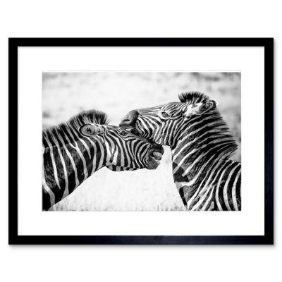 Artery8 Wall Art Print Cute Zebra Couple Framed 9X7 Inch from B&Q