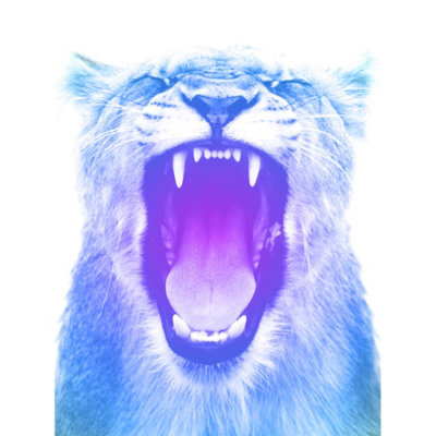 Wee Blue Coo Unframed Wall Art Colourful Roar Lion12X16 Inch