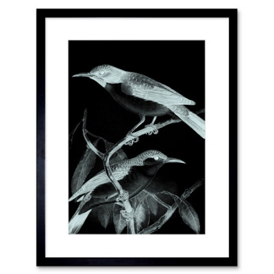 B&Q -  Wall Art Print Birds Night Art Framed 9X7 Inch