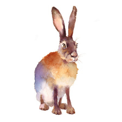 Wee Blue Coo Unframed Wall Art Hare Watercolour Isolated12X16 Inch from B&Q