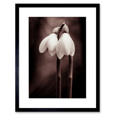 Artery8 Wall Art Print Two Snowdrops Photograph Art Framed 9X7 Inch from B&Q