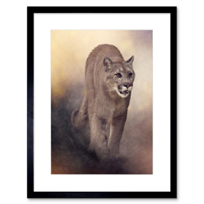 Artery8 Wall Art Print Mountain Lion Cougar Art Framed 9X7 Inch from B&Q