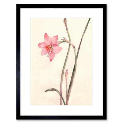 Artery8 Wall Art Print Flower Zephyranthes Watercolour Art Framed 9X7 Inch from B&Q