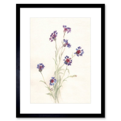 Artery8 Wall Art Print Flower Cornflowers Watercolour Art Framed 9X7 Inch from B&Q