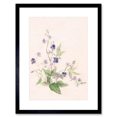 Artery8 Wall Art Print Flower Veronica Watercolour Art Framed 9X7 Inch from B&Q