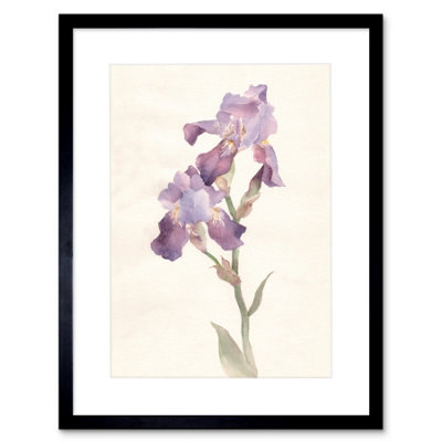 Artery8 Wall Art Print Flower Violet Iris Watercolour Art Framed 9X7 Inch from B&Q
