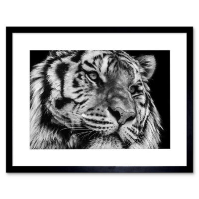 Artery8 Wall Art Print Tiger Close Up Photograph Art Framed 9X7 Inch from B&Q