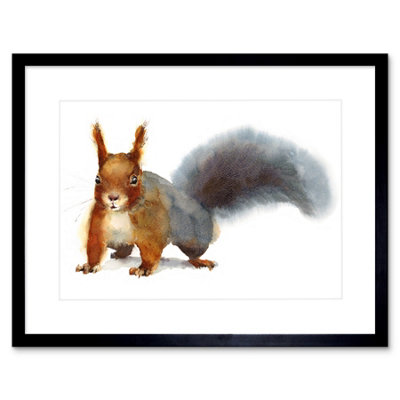 B&Q -  Wall Art Print Squirrel Watercolour Cute Art Framed 9X7 Inch