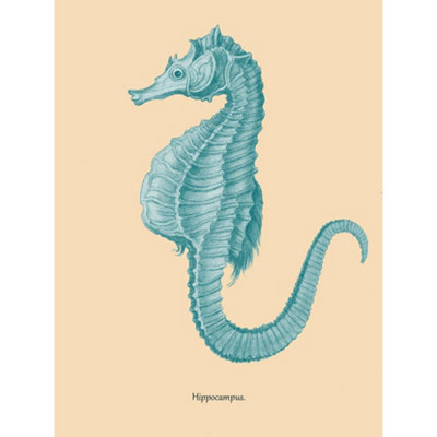 Wee Blue Coo Unframed Wall Art Sea Horse Hippocampus Blue12X16 Inch from B&Q
