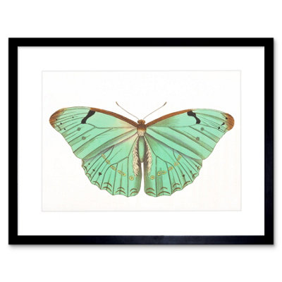 Artery8 Wall Art Print Butterfly Turquoise Art Framed 9X7 Inch from B&Q