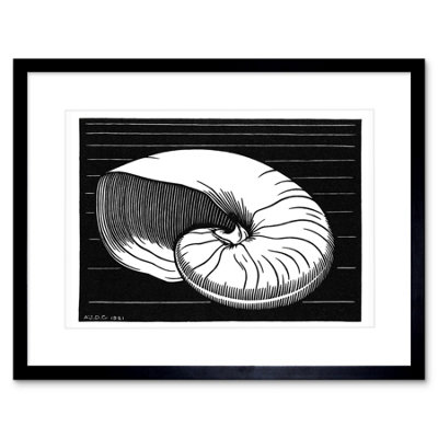 Artery8 Wall Art Print Shell Julie De Graag Art Framed 9X7 Inch from B&Q