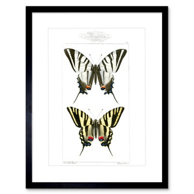 Artery8 Wall Art Print Butterflies Tiger Art Framed 9X7 Inch from B&Q