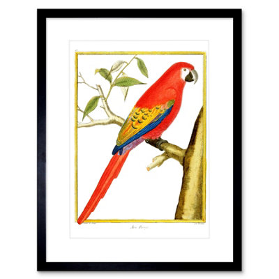 Artery8 Wall Art Print Bird Red Parrot Art Framed 9X7 Inch from B&Q