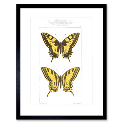Artery8 Wall Art Print Butterflies Black And Yellow Art Framed 9X7 Inch from B&Q