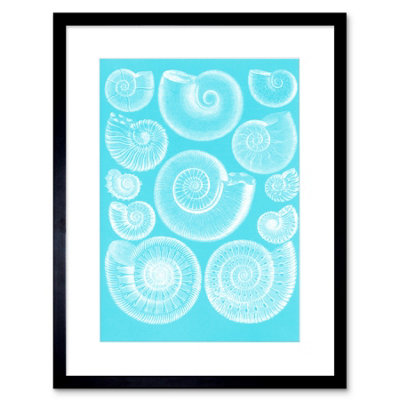 B&Q -  Wall Art Print Fossil Sea Ammonites Blue Art Framed 9X7 Inch
