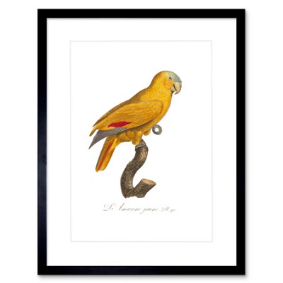 B&Q -  Wall Art Print Yellow Bird Art Framed 9X7 Inch