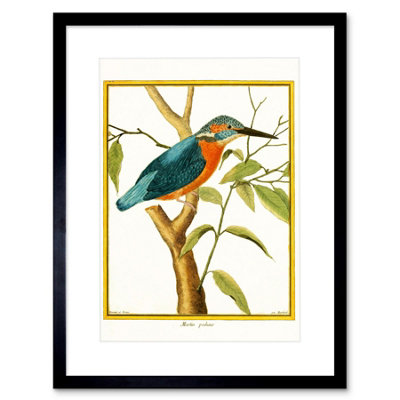 Artery8 Wall Art Print Bird Common Kingfisher Martin Pecheur Art Framed 9X7 Inch from B&Q